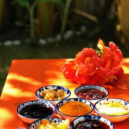 Bed & Breakfast Herakles