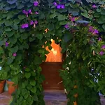Herakles Bed & Breakfast *