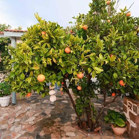 Herakles Bed & Breakfast Cesme