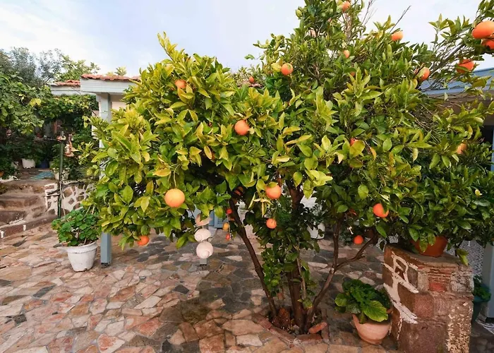 Herakles Bed & Breakfast Çeşme